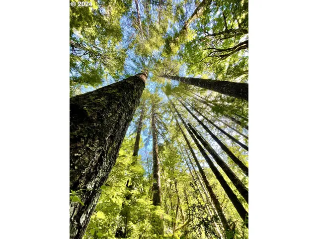 $1,200,000 | 28593 Lower Smith River Road, Reedsport, OR 97467