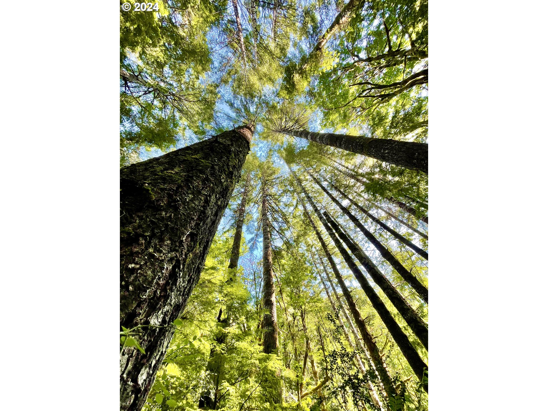 28593 Lower Smith River Road Reedsport, OR 97467 - Photo 44 of 48