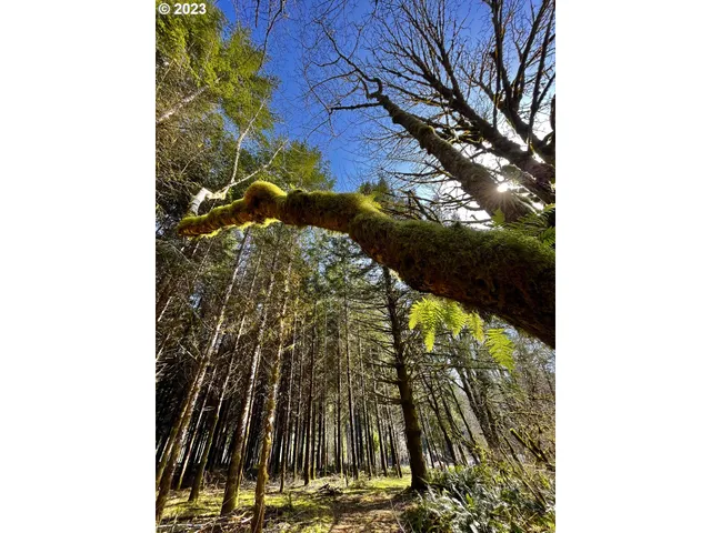 $1,200,000 | 28593 Lower Smith River Road, Reedsport, OR 97467