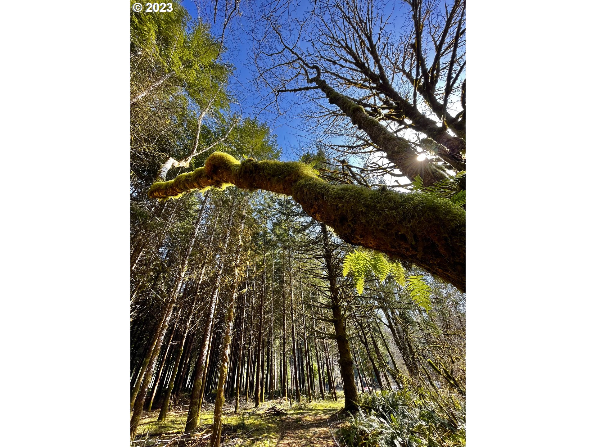 28593 Lower Smith River Road Reedsport, OR 97467 - Photo 45 of 48