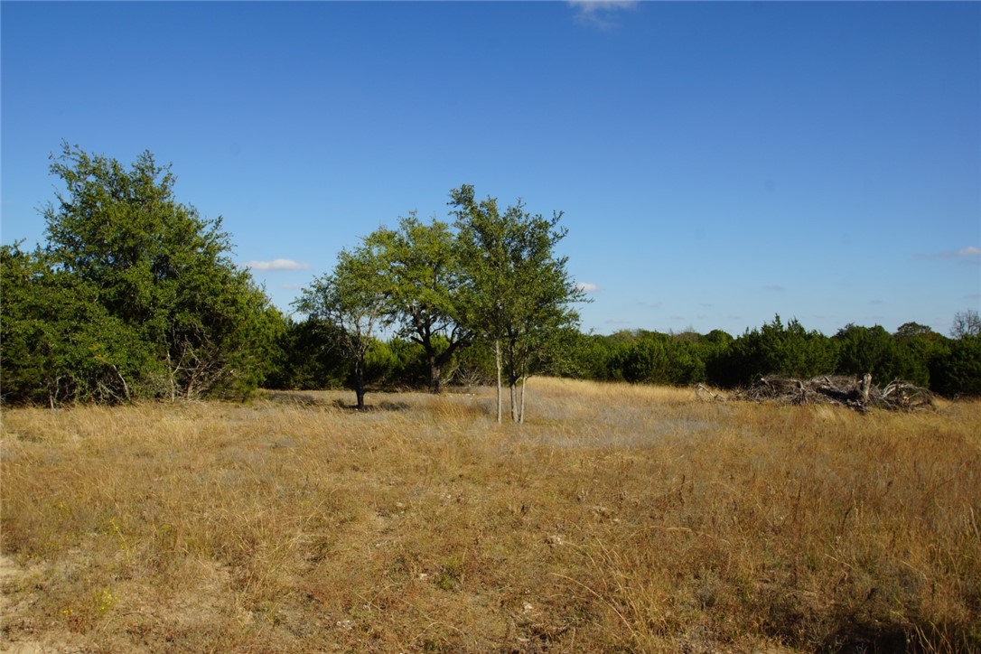 Lot 7 Miller Creek Bluff, Briggs, TX 78608 Compass
