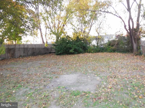 a view of backyard with trees