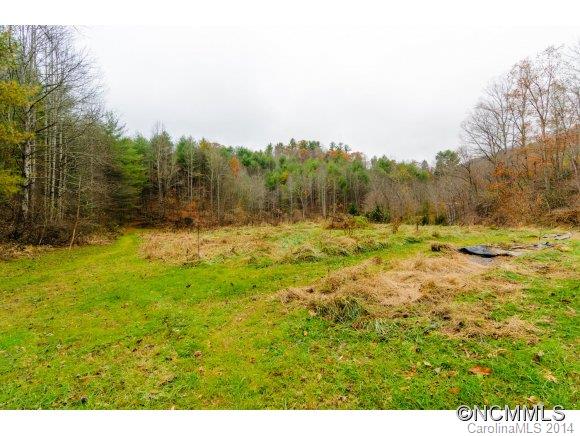 379 Doe Branch Road Marshall, NC 28753 - Photo 16 of 24 Gallery Image 16