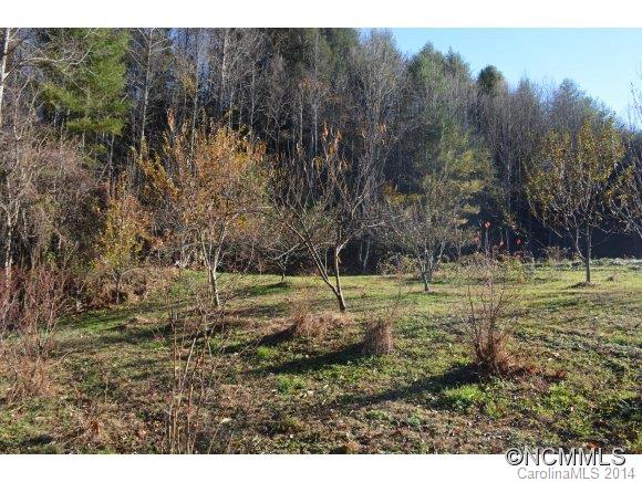 379 Doe Branch Road Marshall, NC 28753 - Photo 17 of 24 Gallery Image 17