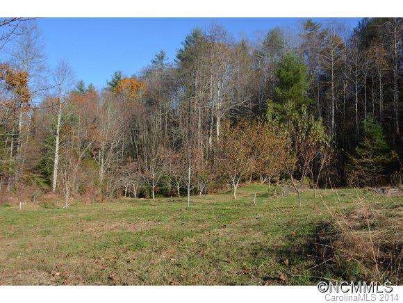 379 Doe Branch Road Marshall, NC 28753 - Photo 18 of 24 Gallery Image 18