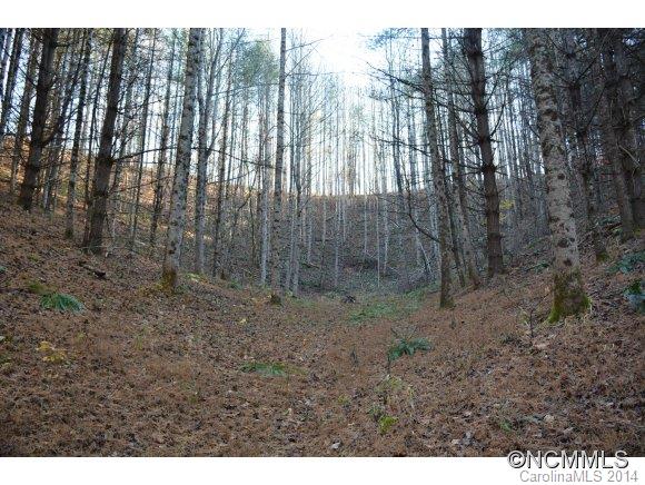 379 Doe Branch Road Marshall, NC 28753 - Photo 20 of 24 Gallery Image 20