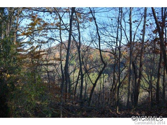 379 Doe Branch Road Marshall, NC 28753 - Photo 21 of 24 Gallery Image 21