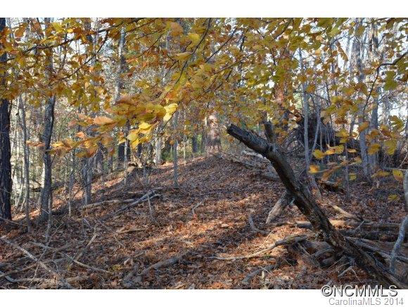 379 Doe Branch Road Marshall, NC 28753 - Photo 22 of 24 Gallery Image 22
