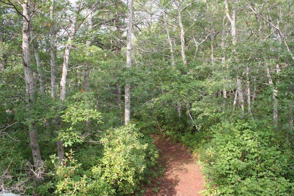 65 Damon Road Brewster, MA 02631 - Photo 20 of 35 Additional Photo