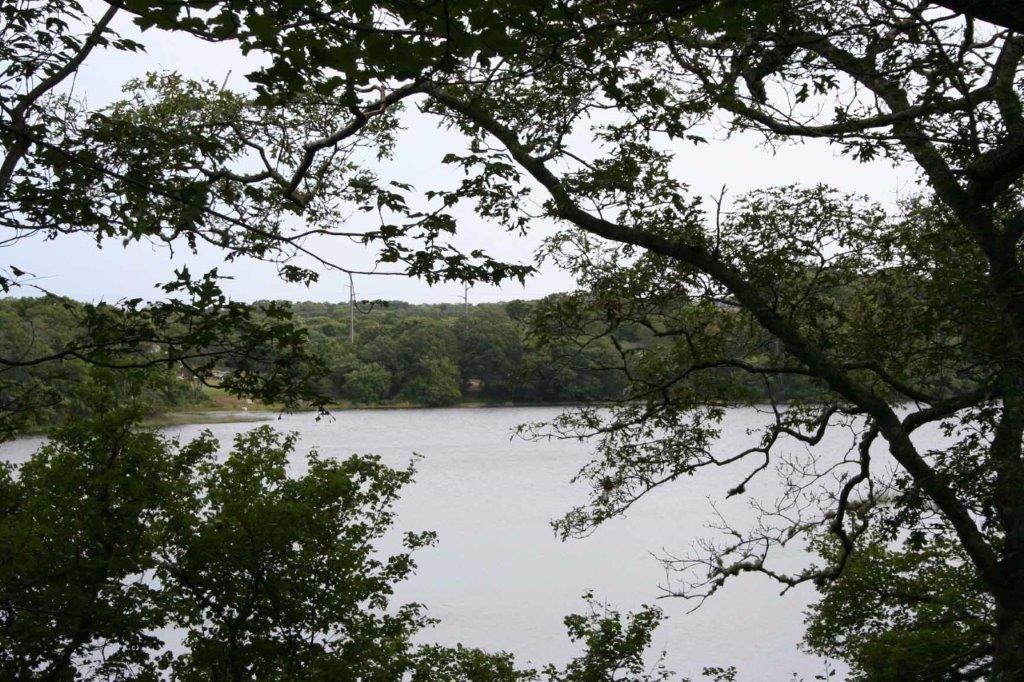 65 Damon Road Brewster, MA 02631 - Photo 28 of 35 Additional Photo