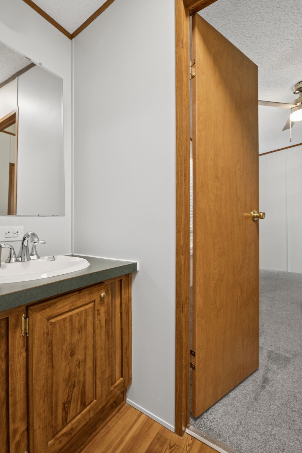 249 Ramsey Road Lebanon, TN 37087 - Photo 24 of 45 a bathroom with a sink and mirror