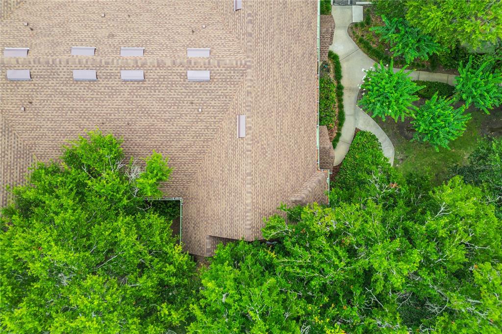 6324 Raleigh Street, Unit 702 Orlando, FL 32835 - Photo 51 of 52