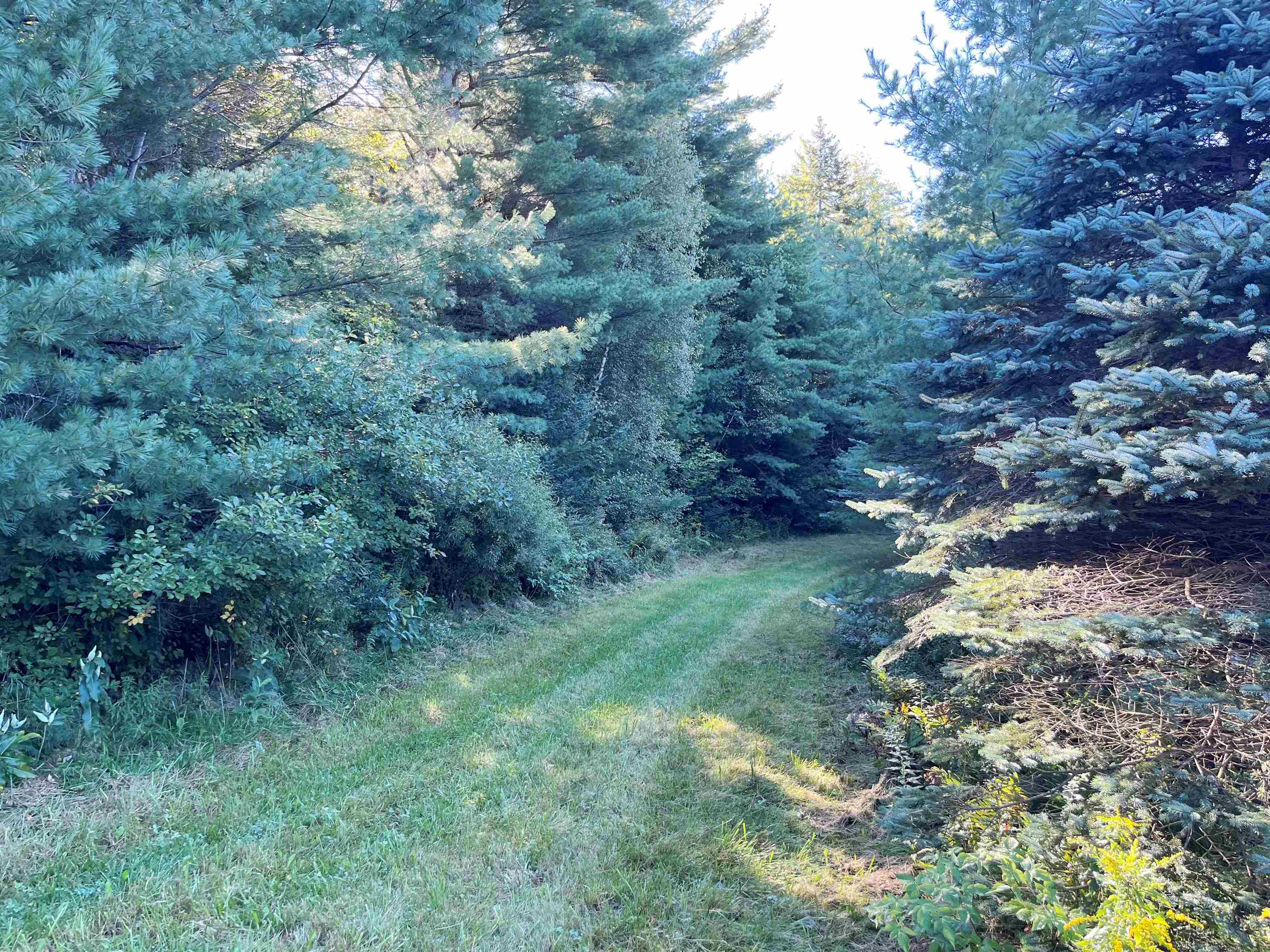 Lot 2 Glover Road Newport, VT 05855 - Photo 3 of 7