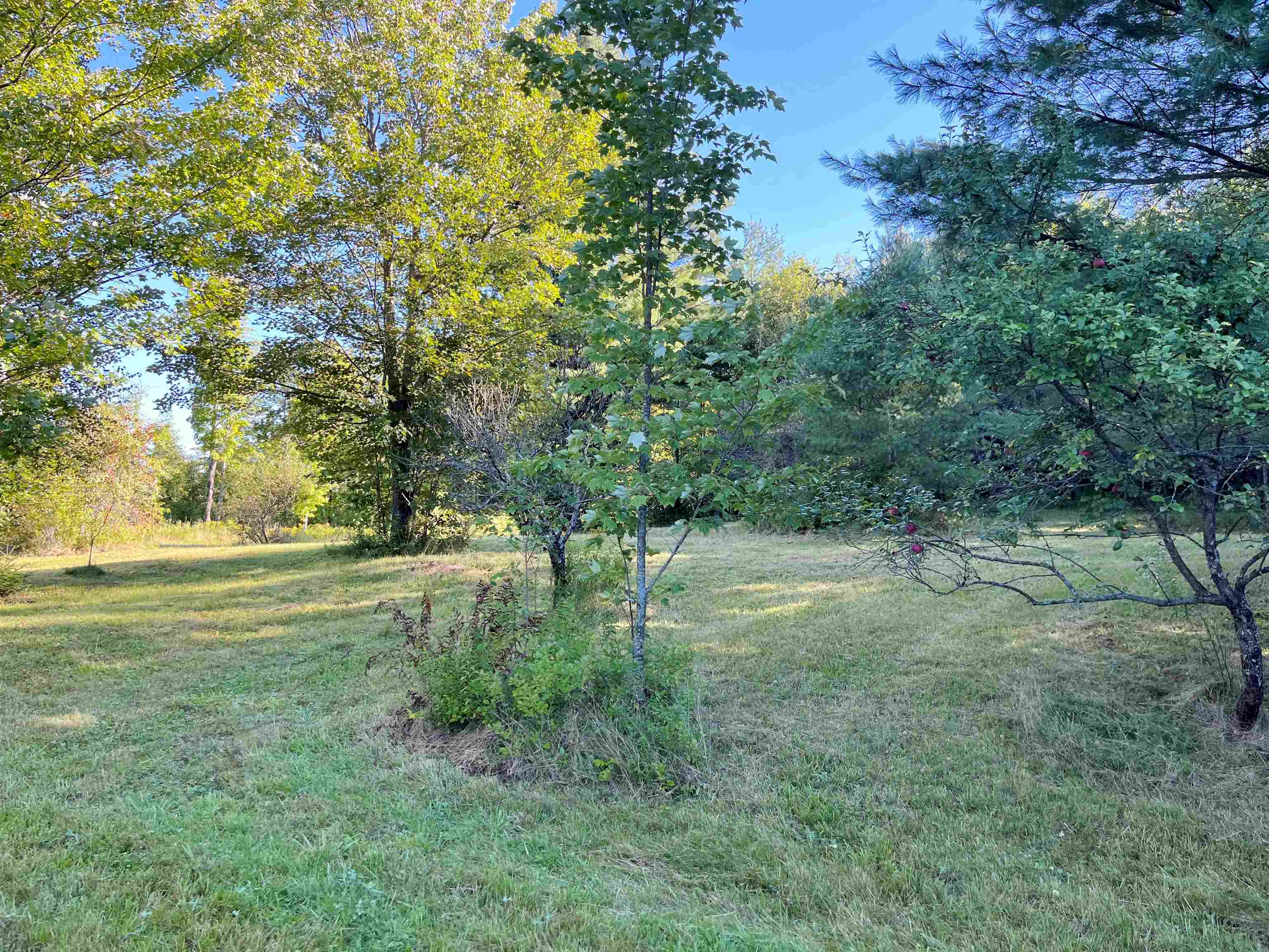 Lot 2 Glover Road Newport, VT 05855 - Photo 4 of 7