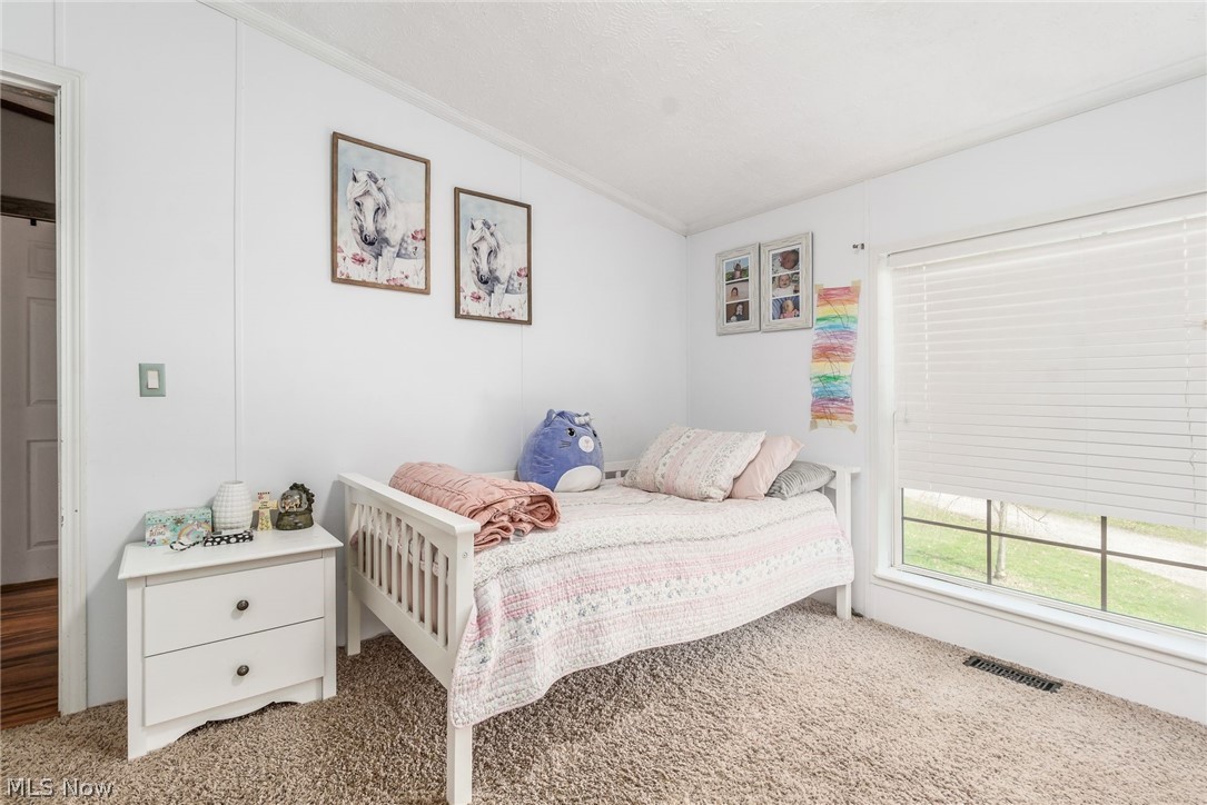 7922 Ruff Road West Salem, OH 44287 - Photo 19 of 34 Gallery Image 19
