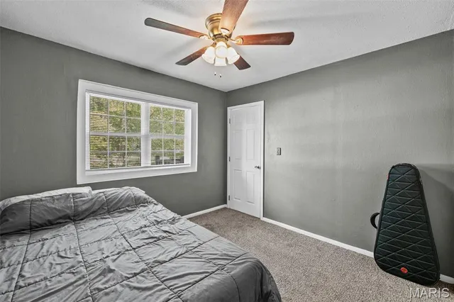 $289,000 | 1155 East Karsch Boulevard, Farmington, MO 63640