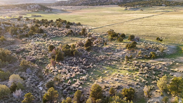 123 Tbd Forest Service Rd 640a (s Salina, UT 84654 - Photo 40 of 69 Aerial view of sparsely populated area