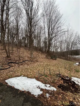 $315,000 | 2879 Bellevue Avenue, Onondaga, NY 13219
