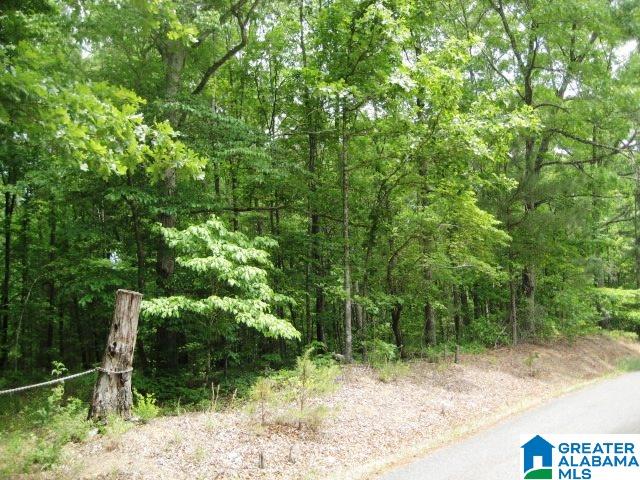 0 Sulphur Springs Road, Unit 10 ACRES Lincoln, AL 35096 - Photo 14 of 32