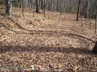Lot 1 Devil's Den Road Danbury, NC 27016 - Photo 3 of 8 Other.