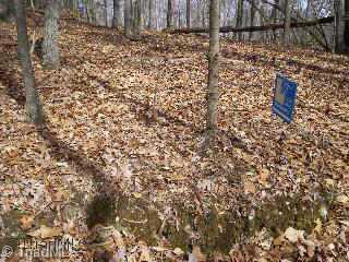 Lot 1 Devil's Den Road Danbury, NC 27016 - Photo 4 of 8 Other.