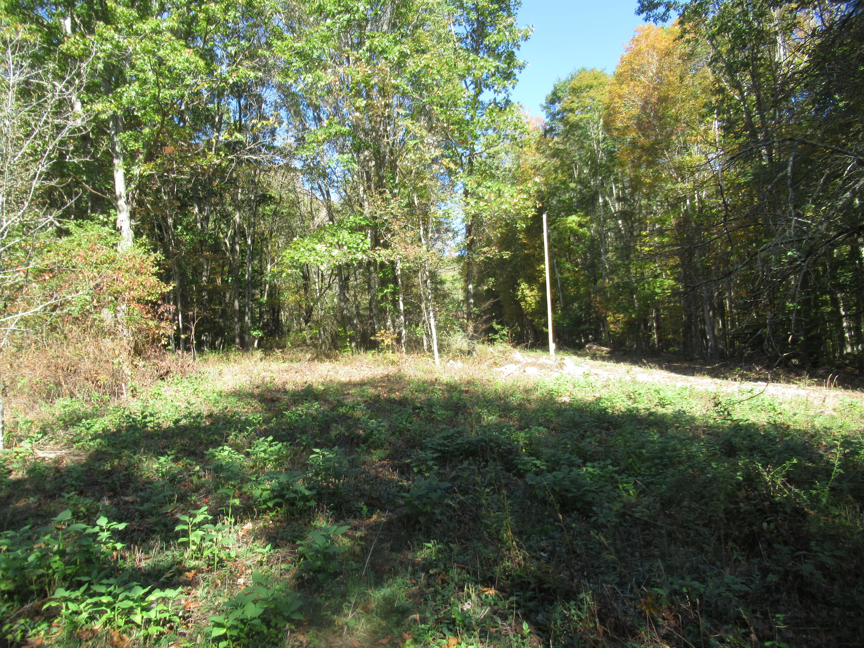 George Ballengee Road Alderson, WV 24910 - Photo 11 of 17 Gallery Image 11