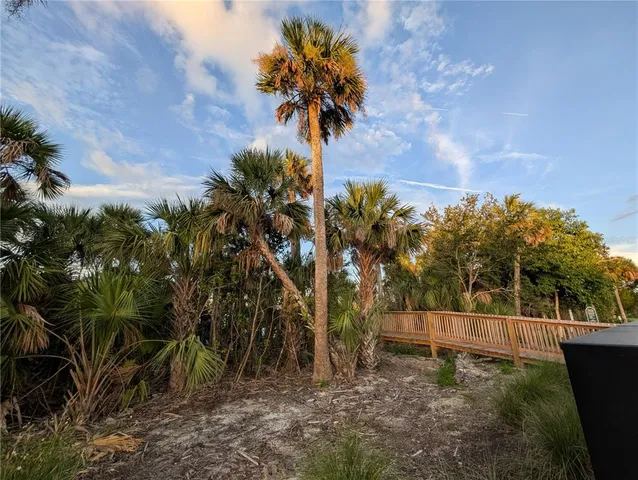 a view of a yard in a yard