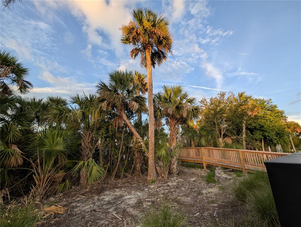 152 Jones Fish Camp Road Edgewater, FL 32141 - Photo 25 of 28 a view of a yard in a yard