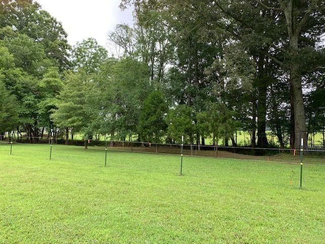 Crosby Ln Spring Spring City, TN 37381 - Photo 2 of 6 Jaimee 2