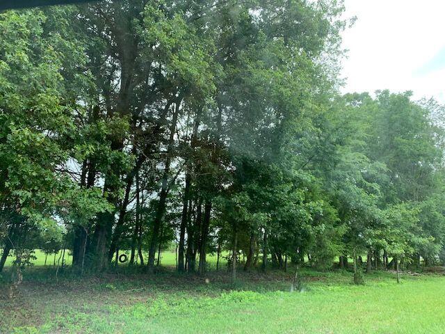 Crosby Ln Spring Spring City, TN 37381 - Photo 3 of 6 Jaimee 3