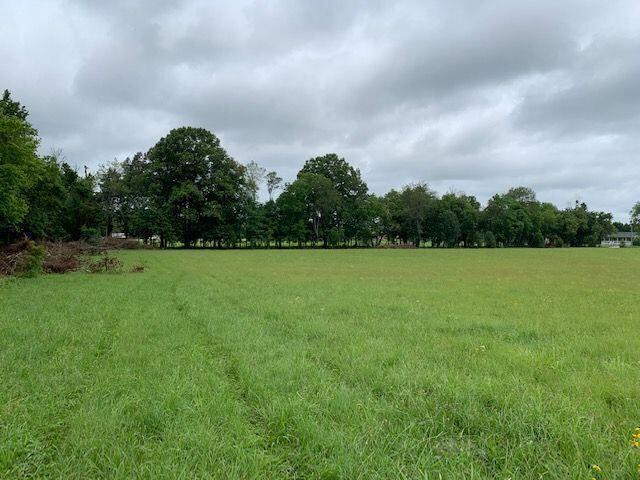 Crosby Ln Spring Spring City, TN 37381 - Photo 4 of 6 Jaimee 4