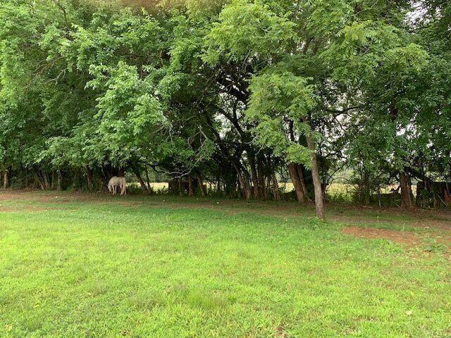 Crosby Ln Spring Spring City, TN 37381 - Photo 5 of 6 Jaimee 5