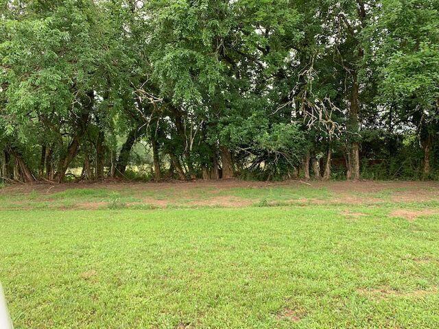 Crosby Ln Spring Spring City, TN 37381 - Photo 6 of 6 Jaimee 6