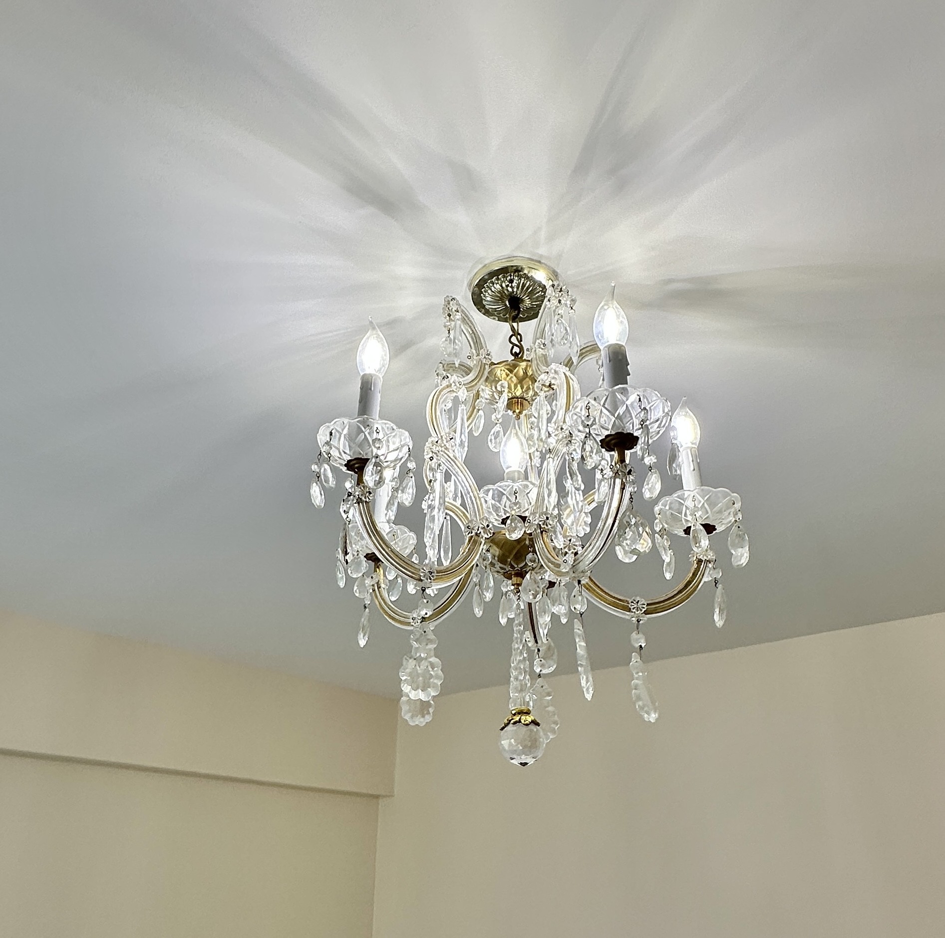 4215 Harding Pike, Unit 903 Nashville, TN 37205 - Photo 37 of 68 a vase of flowers sitting on a table