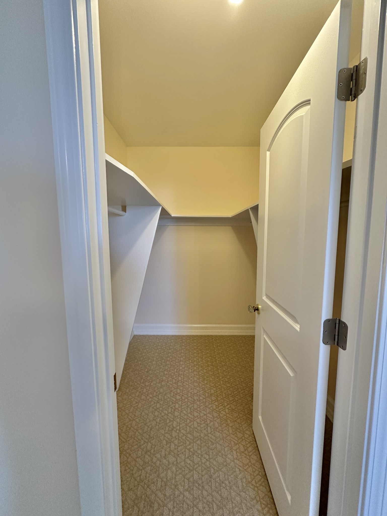 4215 Harding Pike, Unit 903 Nashville, TN 37205 - Photo 41 of 68 a view of closet