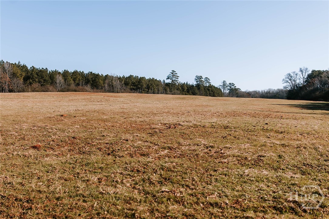 331 South Main Street Stephens, GA 30667 - Photo 12 of 45