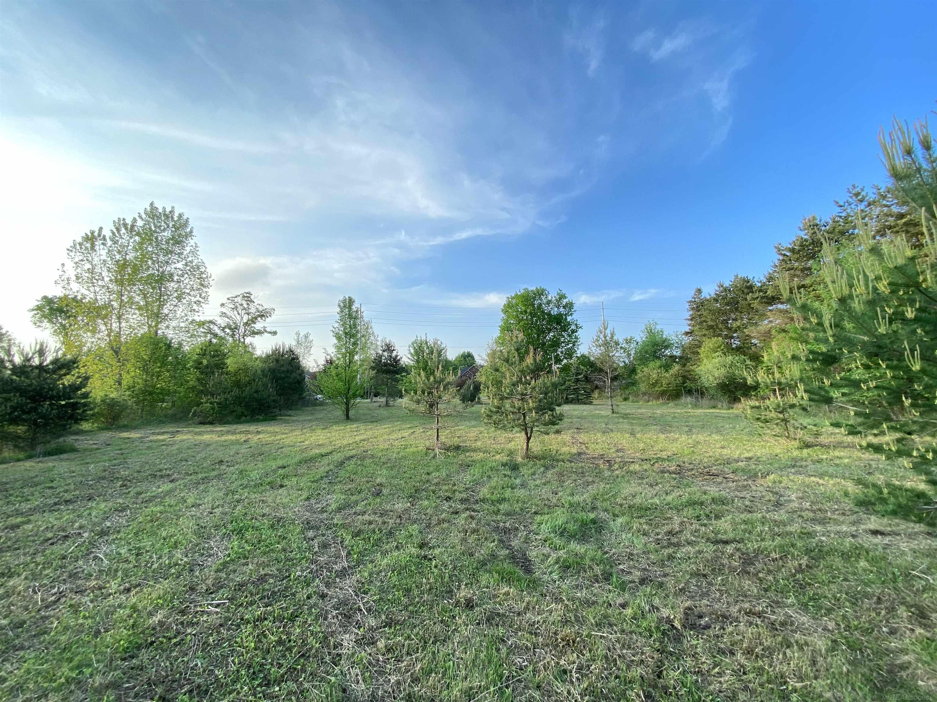 17344 33 Mile Road Armada, MI 48005 - Photo 8 of 14