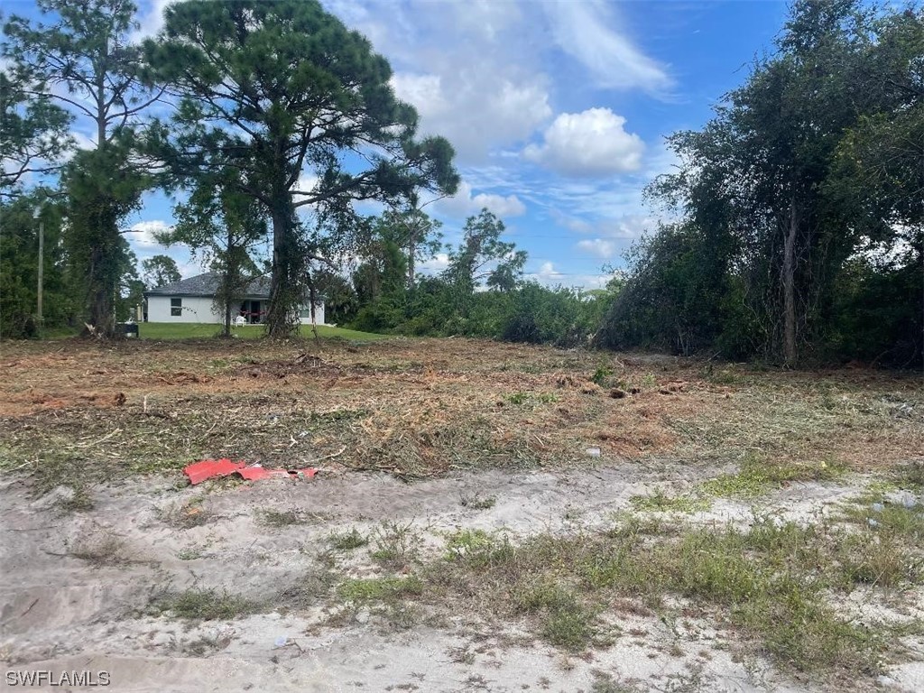3312 3rd Street Southwest Lehigh Acres, FL 33976 - Photo 2 of 7 a backyard of a house with lots of green space