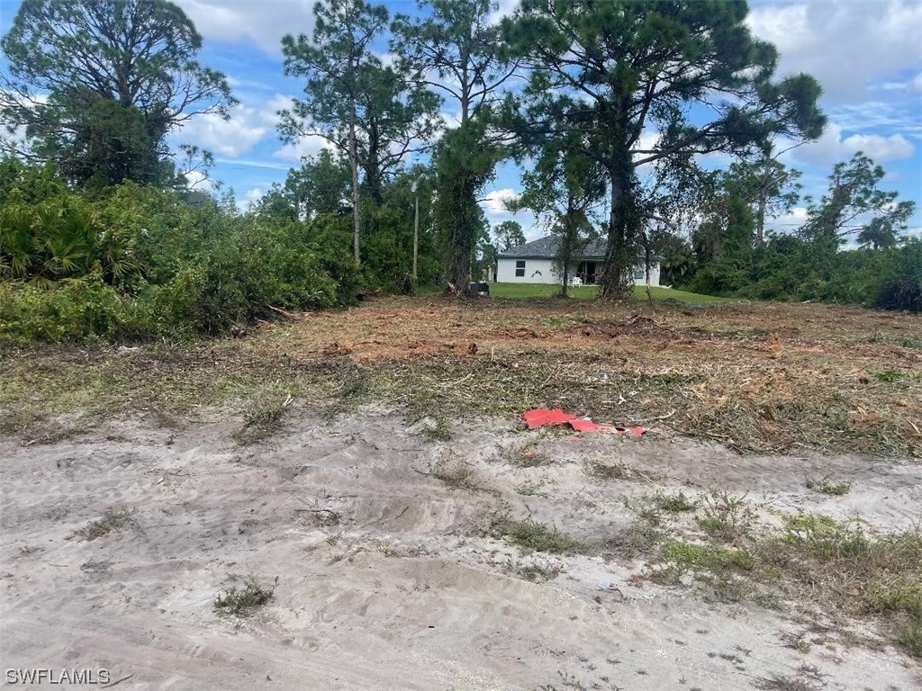 3312 3rd Street Southwest Lehigh Acres, FL 33976 - Photo 3 of 7 a view of a yard with a tree