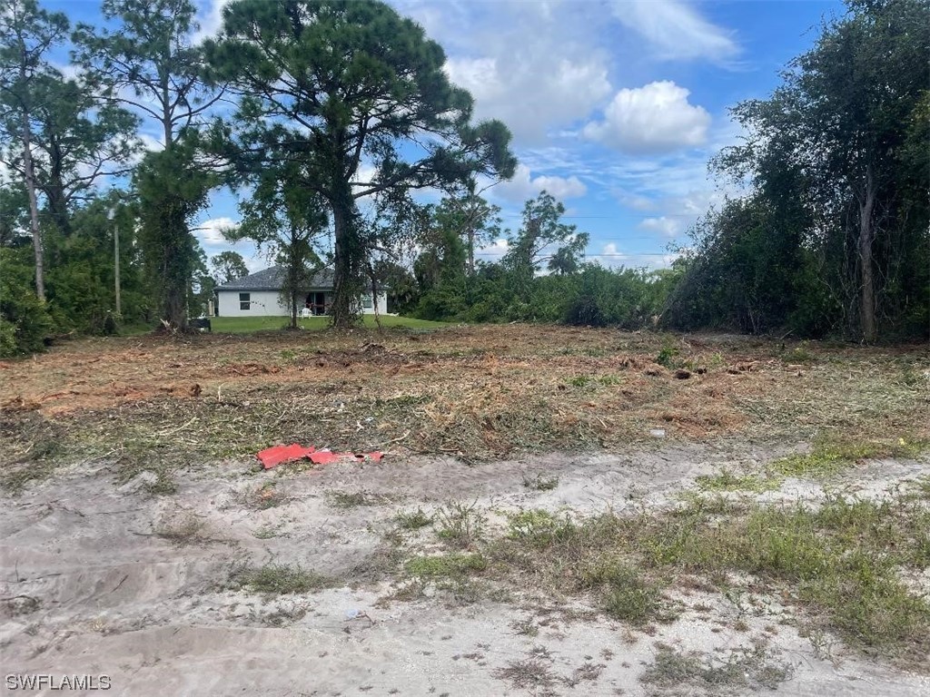3312 3rd Street Southwest Lehigh Acres, FL 33976 - Photo 4 of 7 a view of a yard with trees