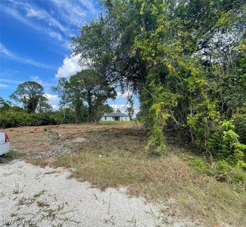 3312 3rd Street Southwest Lehigh Acres, FL 33976 - Photo 7 of 7 a view of a yard with plants and trees
