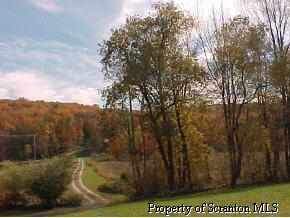 710 Creek Road Jackson, PA 18825 - Photo 2 of 5 Gallery Image 2