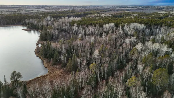 $219,000 | Tbd Tbd Arthur Lake, Babbitt, MN 55706