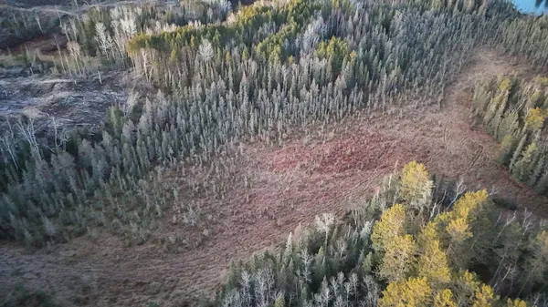 $219,000 | Tbd Tbd Arthur Lake, Babbitt, MN 55706