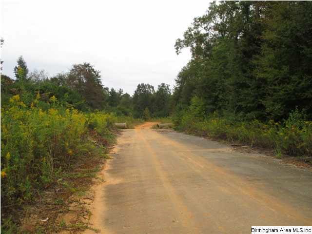 76 Morris Farms Drive Riverside, AL 35135 - Photo 2 of 6