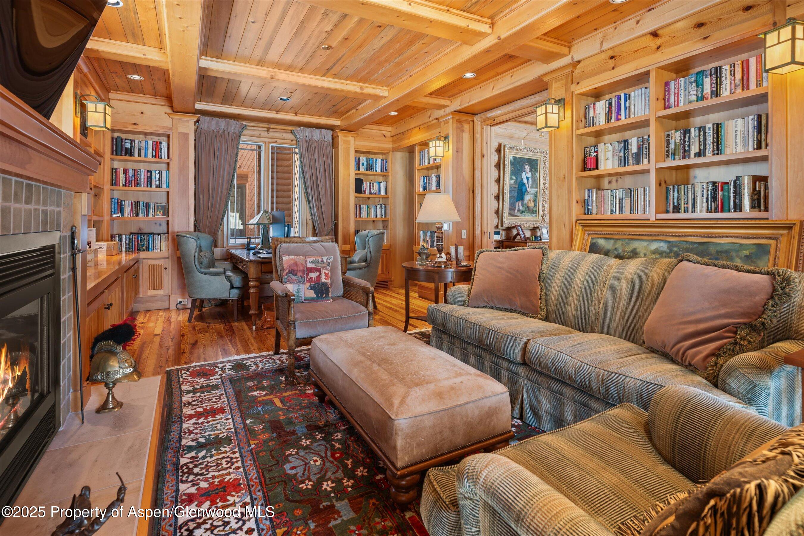 195 North Hayden Road Aspen, CO 81611 - Photo 14 of 39 a living room with furniture or couch and a bookshelf