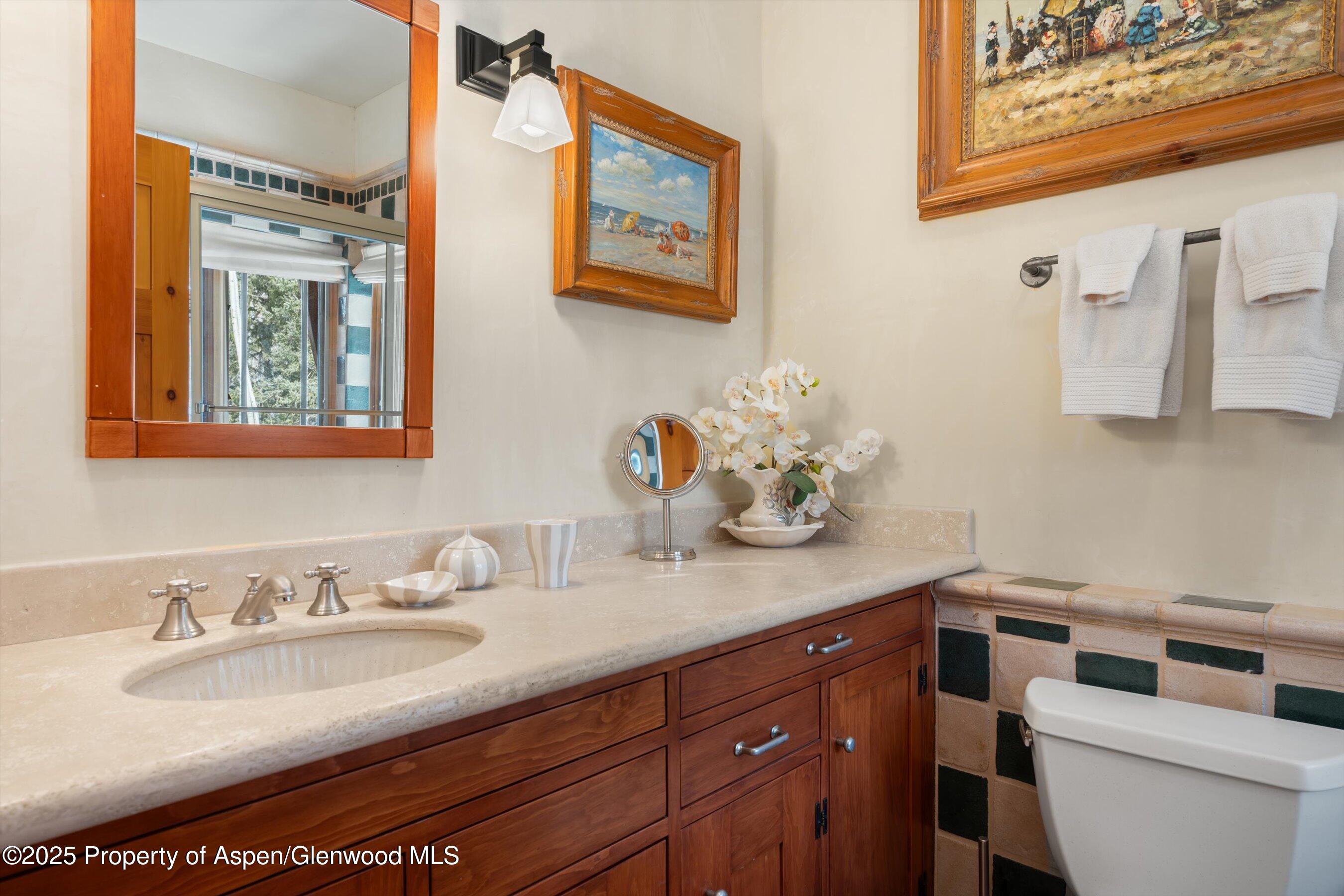 195 North Hayden Road Aspen, CO 81611 - Photo 23 of 39 a bathroom with a sink and a toilet