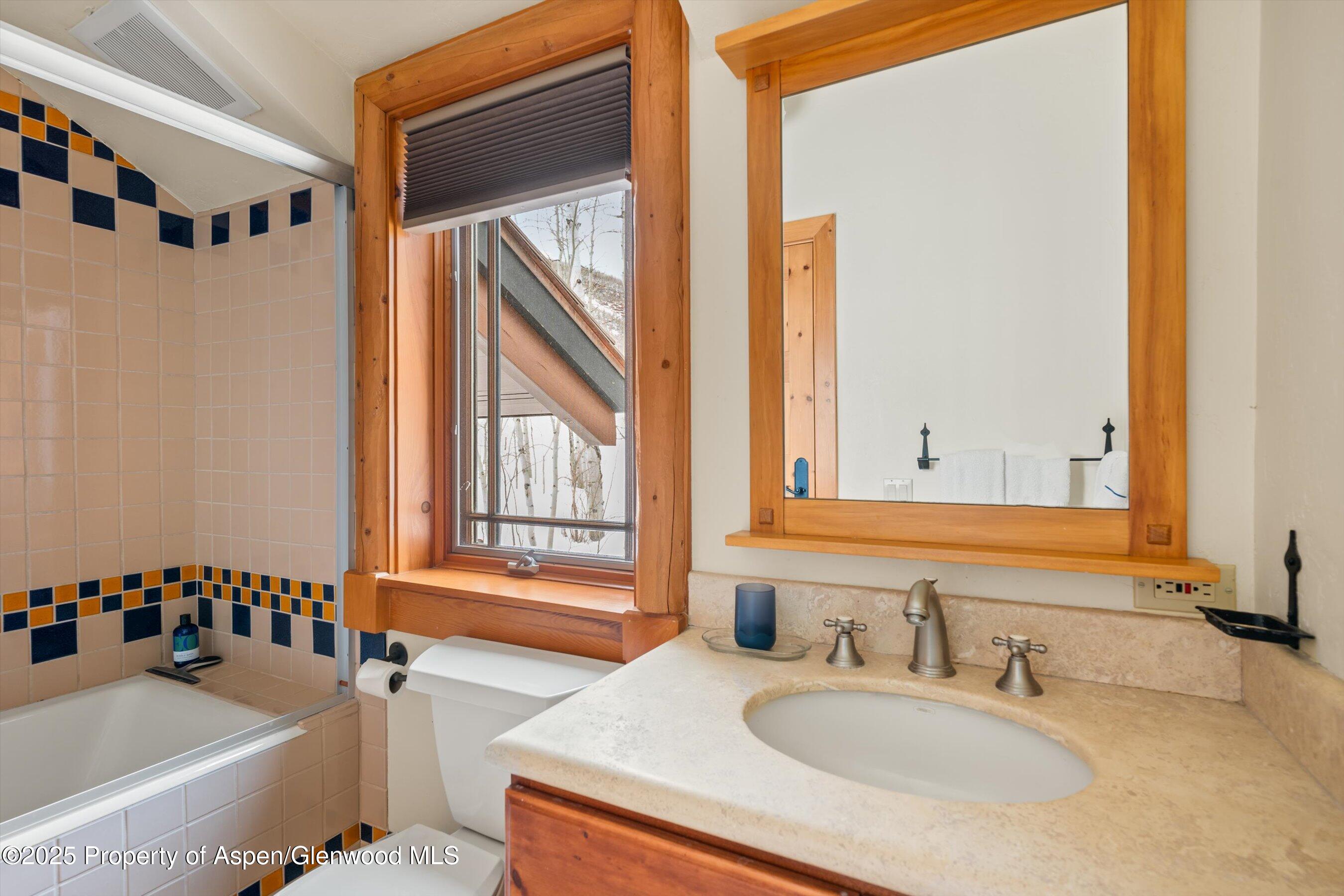 195 North Hayden Road Aspen, CO 81611 - Photo 36 of 39 a bathroom with a sink and a mirror