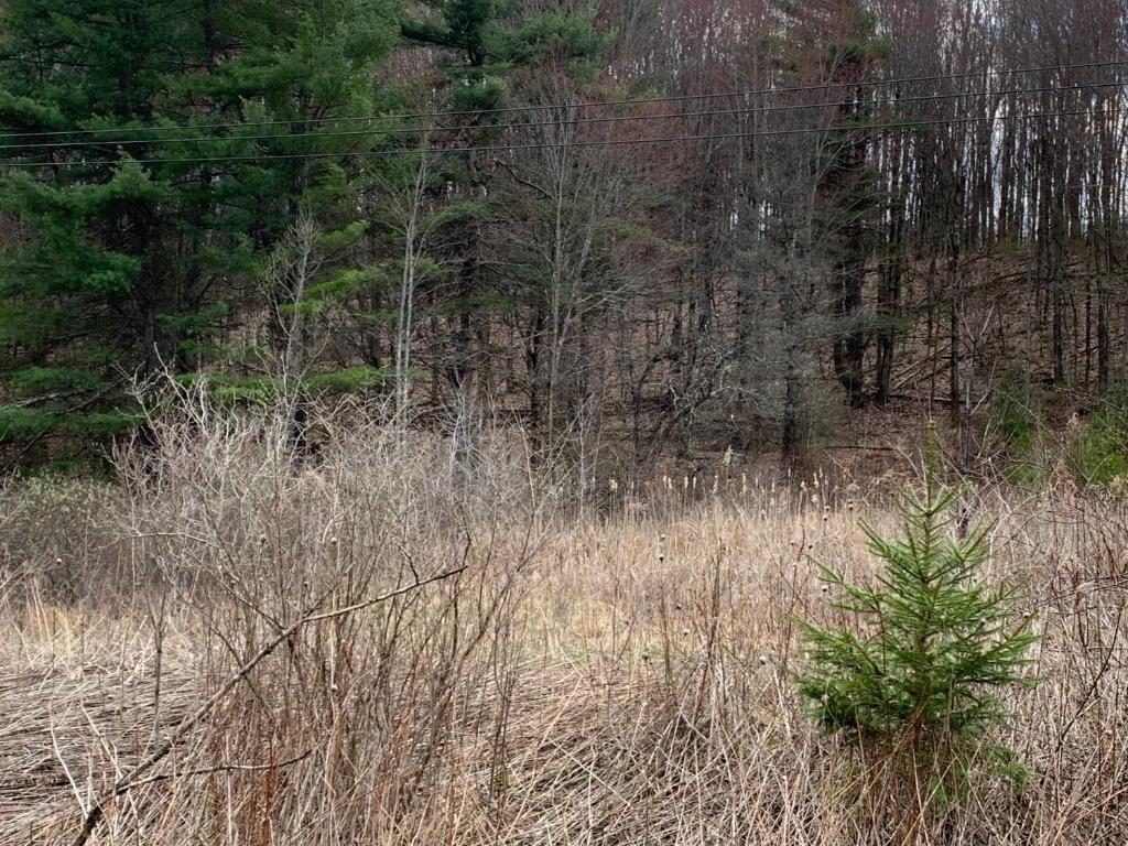 0 County Highway Unadilla, NY 13849 - Photo 1 of 19