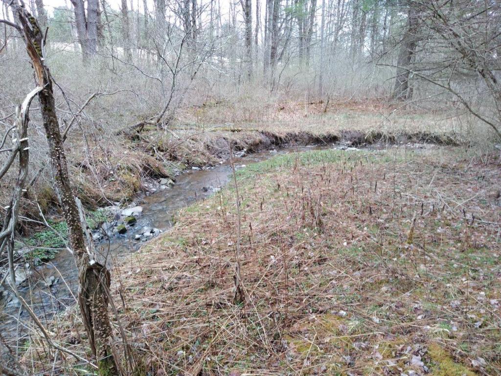 0 County Highway Unadilla, NY 13849 - Photo 14 of 19